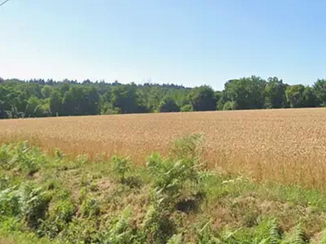 Achat maisons Torcé 5 pièces
