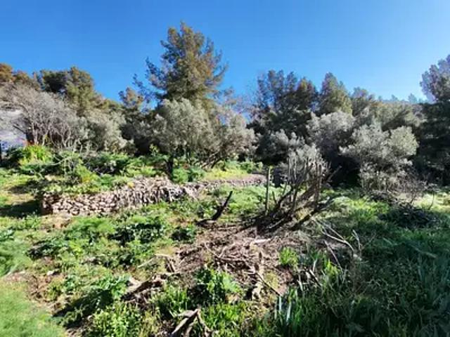 Achat maisons Toulon 6 pièces