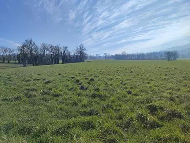 Achat maisons Vulbens 5 pièces