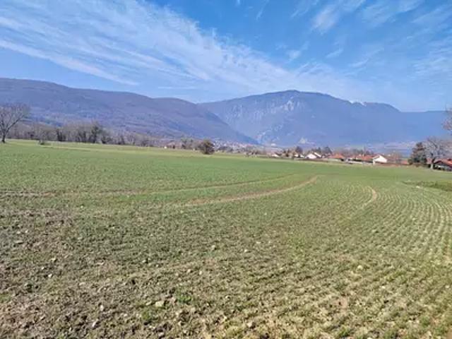 Achat maisons Vulbens 5 pièces