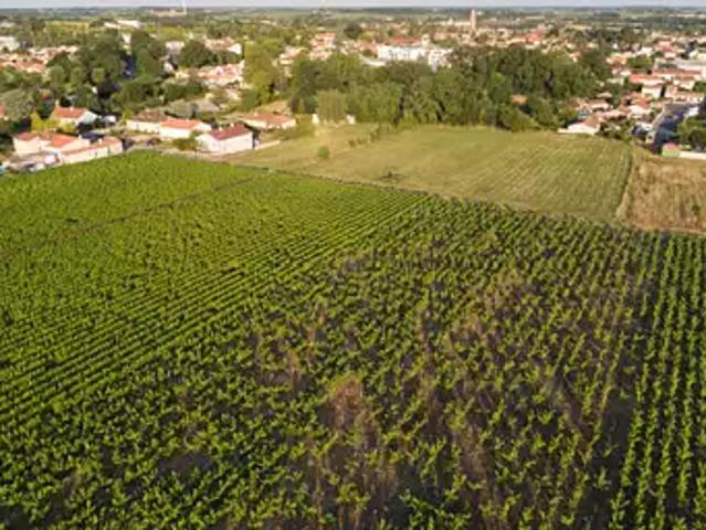 Achat maisons Vallet 4 pièces