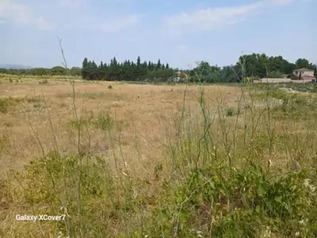 Achat maisons Villemolaque 5 pièces