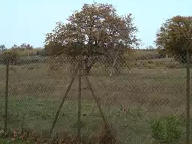 Achat maisons Villemolaque 5 pièces