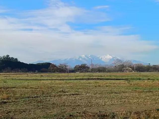 Achat maisons Villeneuve de la Raho 7 pièces