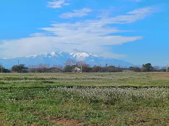 Achat maisons Villeneuve de la Raho 7 pièces