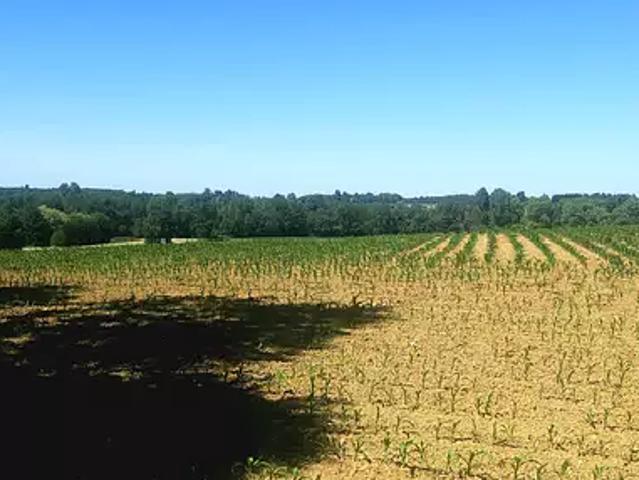 Achat maisons Viriat 4 pièces