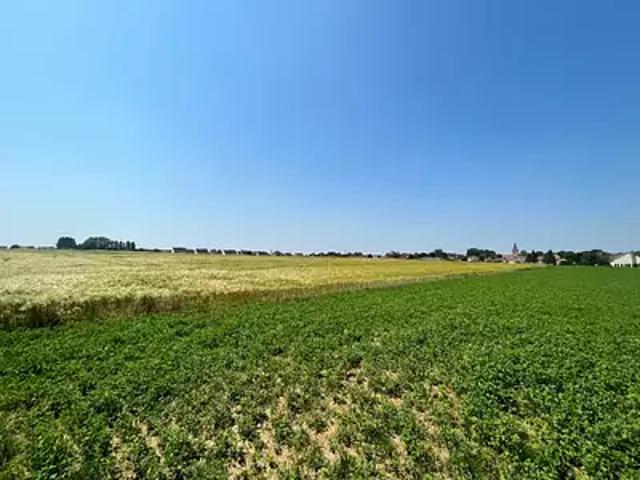 Achat maisons Wailly 4 pièces