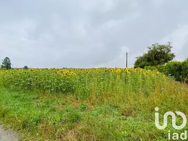 Achères la Forêt 77760 Achat / Vente terrain