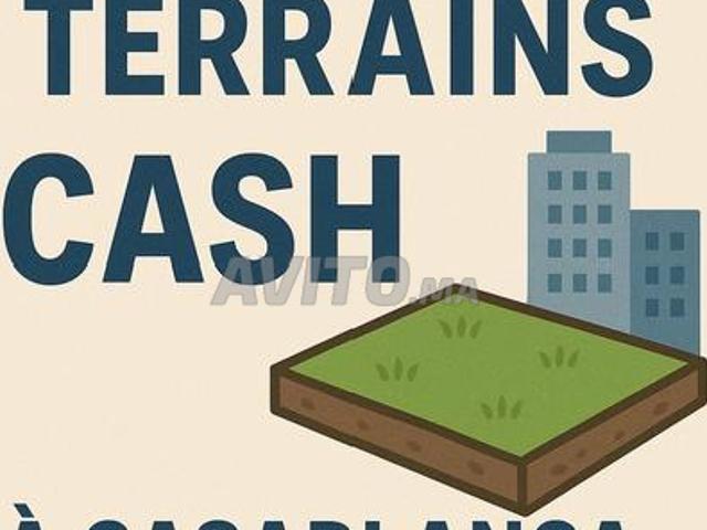 Acheté cash tous terrain