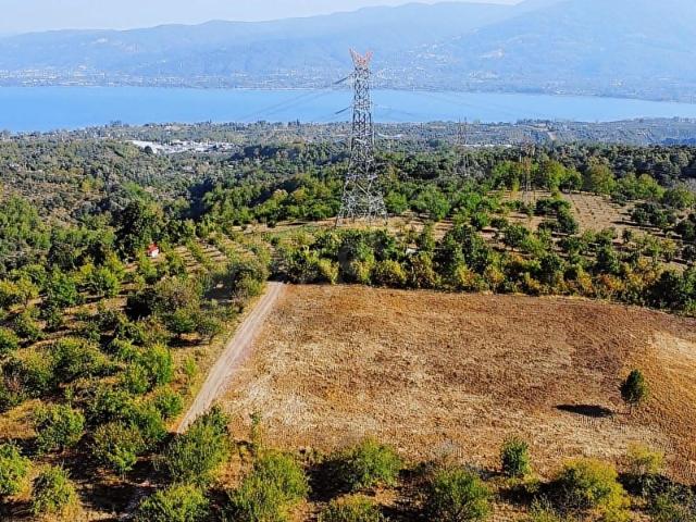 ACİL YENİEŞMEDE %5 İMARLI SAPANCA GÖL MANZARALI SATILIK 10706 M2