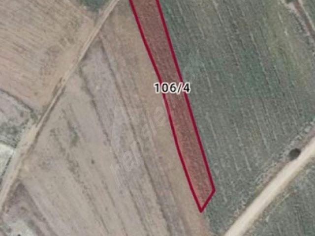 ACİL SAHİBİNDEN SATILIK SİLİVRİ SANCAKTEPE'DE İKİ TARAFI YOL 227 M2 TARLA