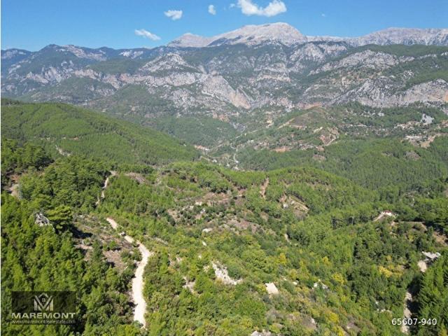 ACİL SATILIK MÜSTAKİL TAPU ANTALYA ALANYA GÜMÜŞKAVAK