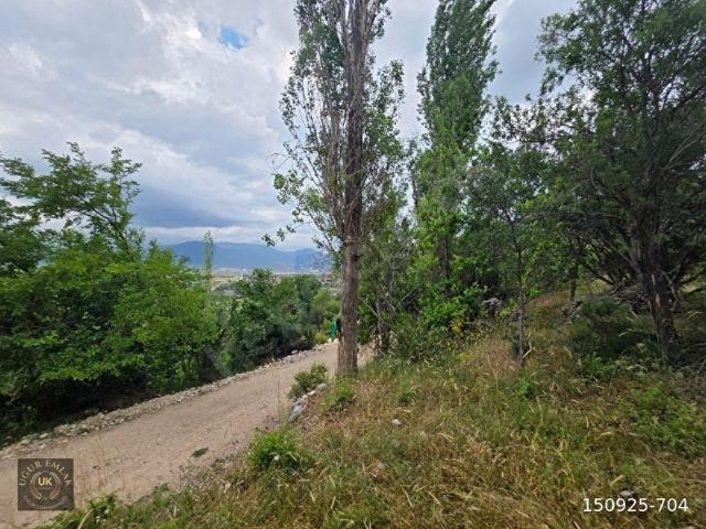 ACİL SATILIK SEYDİKEMER YAYLA KINIKTA KUPON ARAZİ! Seydikemer Yayla Kınık