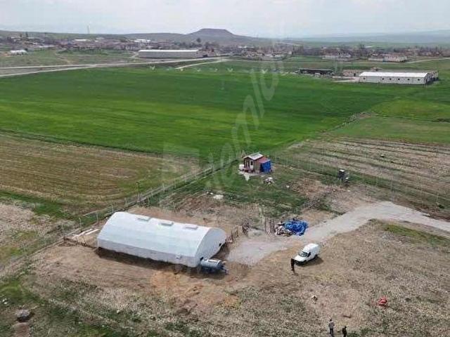 ACİL!SERVER EMLAKTAN TATLIKUYUDA SATILIK HAZIR KURULU ÇİFTLİK