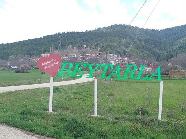 ACİLL! ESKİPAZAR BEYTARLADA KÖY YERLEŞİK ALANI İÇİ 2169 m2 TARLA