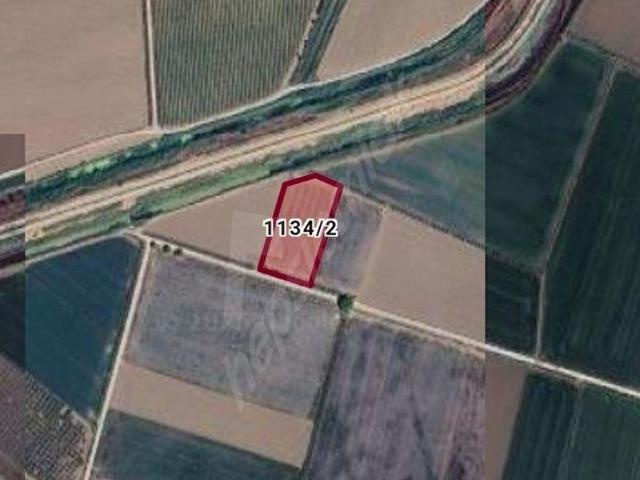 acil. acil. menemen kesik'de satılık verimli 481m2 bahçe