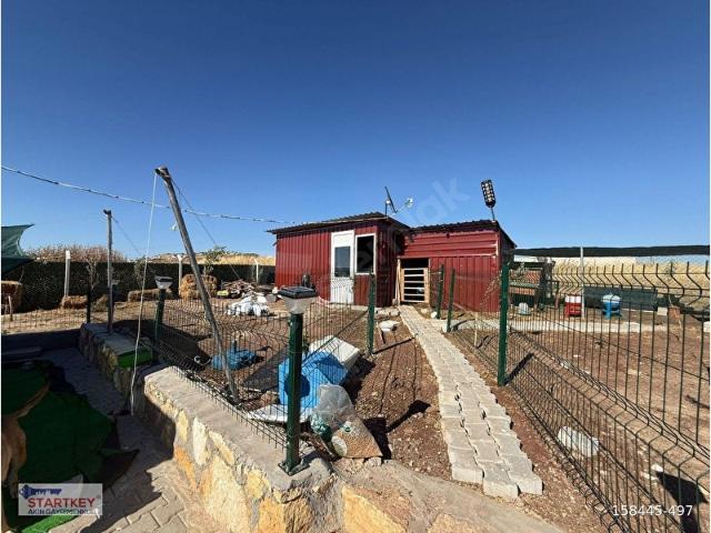 Acil Foça Bağarasında Eşyalı Tiny House İçinde Satılık Tarla