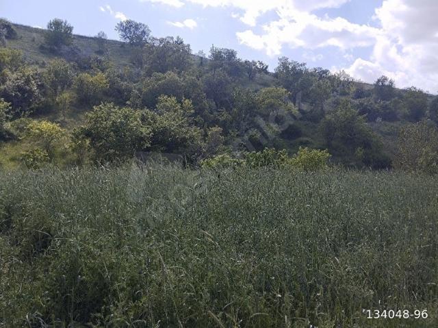 acil satılık tapulu bahçe 1500 m2
