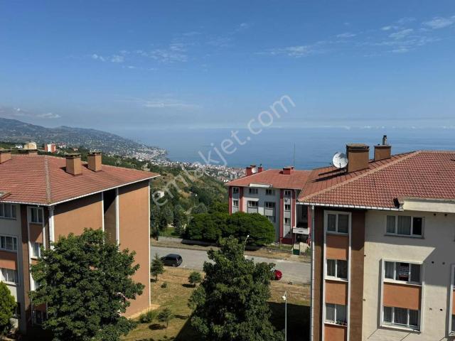 Acil Trabzon Fırsat Acil Daire
