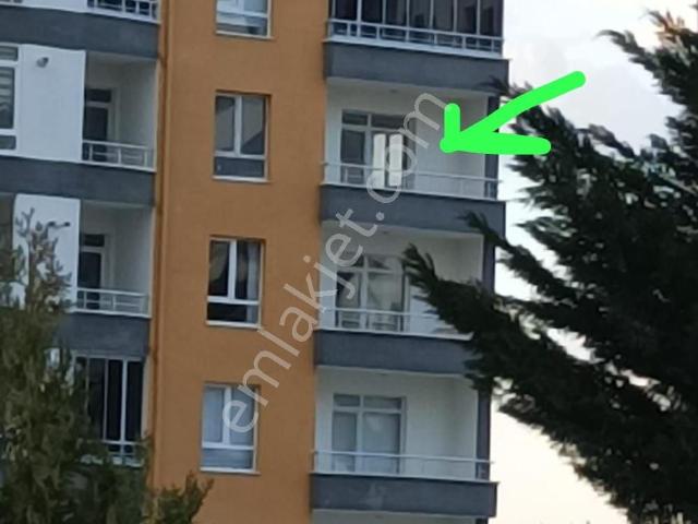 Talasmevlanada Kooperatif Dairesi