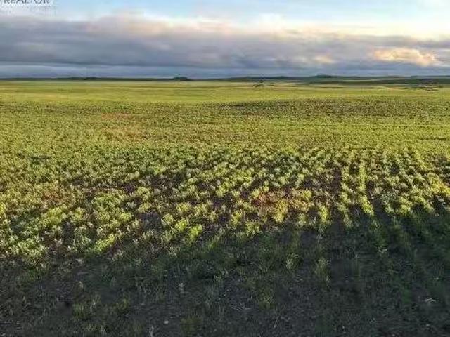 Acreage D Lovering Lakes, Craik Rm No. 222, SK, S0G 0R0 vaca.