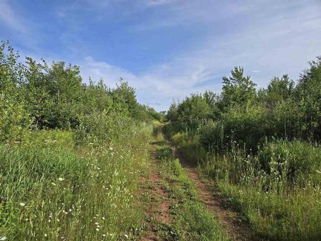 Acreage Deblois Road, Deblois, PE, C0B 2B0 vacant land for sale | Listing ID 202618 | Royal LePage