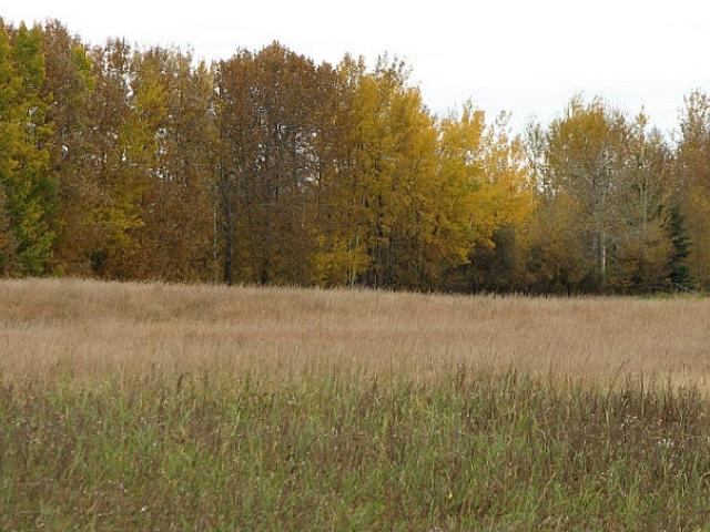 Acreages For Sale Athabasca