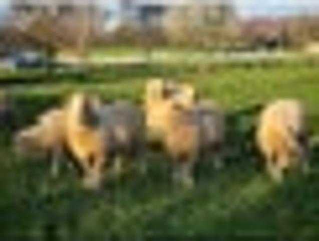 Act Now! Country Living Only 850m From Village!