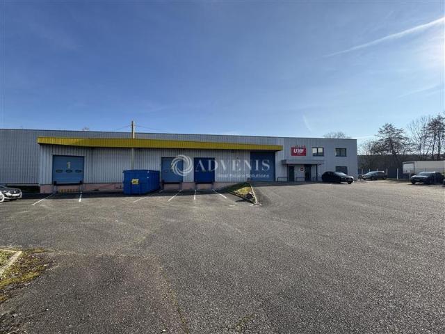 Entrepôts avec quais à vendre Geispolsheim Zone Industrielle Forlen