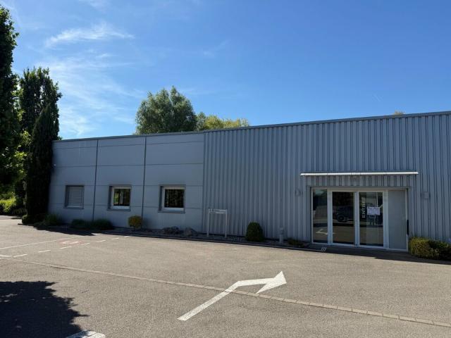 Bâtiment d'activité à vendre Wettolsheim Zone Artisanale des Erlen
