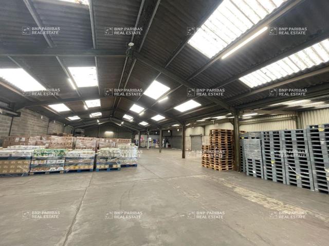 Vente entrepôt Courcelles lès Lens