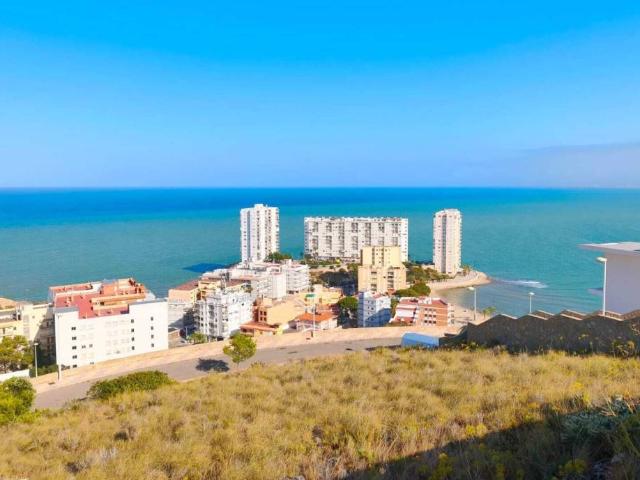 Actividad/Licencia en Venta en Cullera