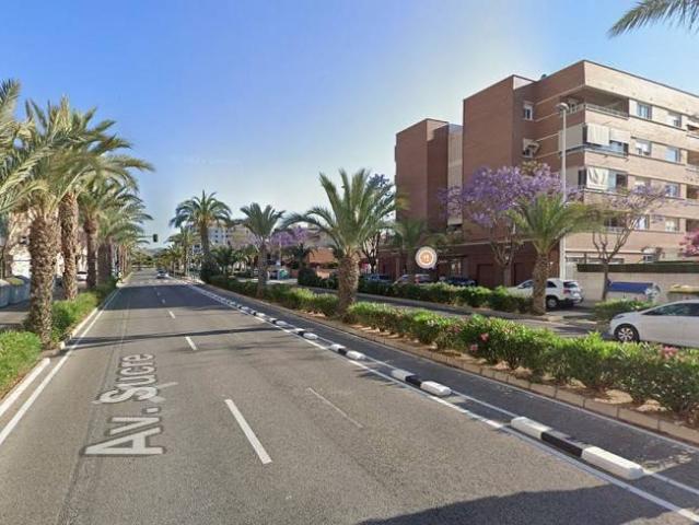 Actividad/Licencia en Venta en Elche Elx