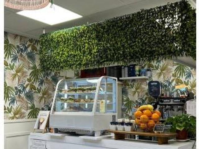Actividad/Licencia en Venta en Palma de Mallorca