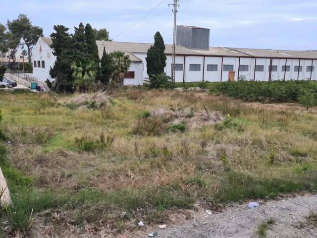 Actividad/Licencia en Venta en Sueca
