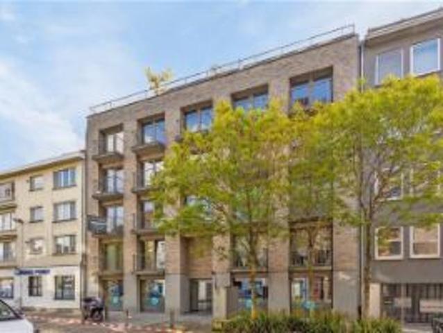 AAA locatie kantoren in Kribbestraat 3, 2000 Antwerpen