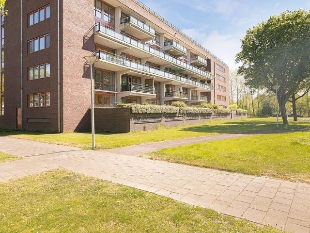 Aalscholverstraat