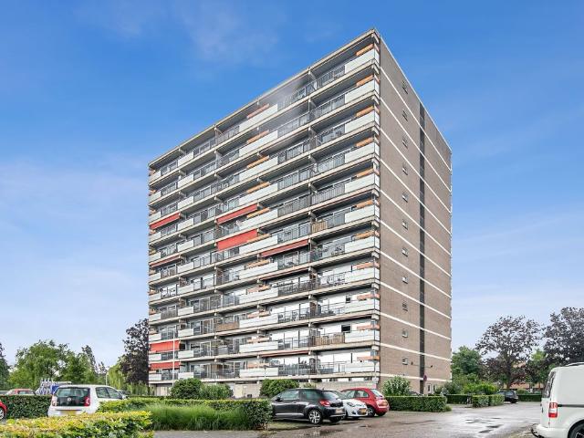 Aalscholversingel, Velp