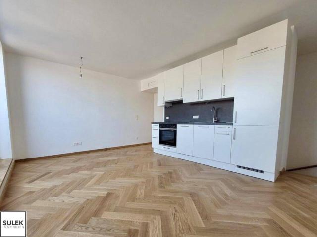 Ab 1.7.26: Gut geschnittene 3 Zimmer Maisonette mit Terrasse DG Ausbau nahe Mariahilfer Str./Westbahnhof