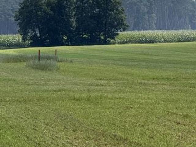 Żabno 1 200 m², Żabno