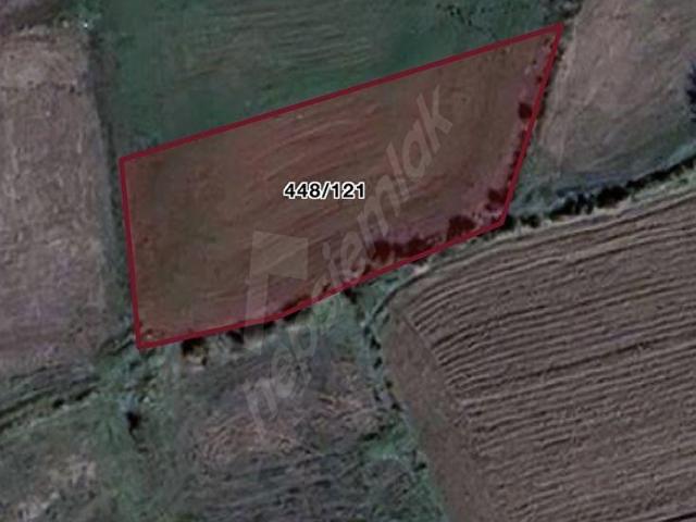 ŞABANÖZÜNDE KUPON 1577m2 SATILIK BAĞ YERİ