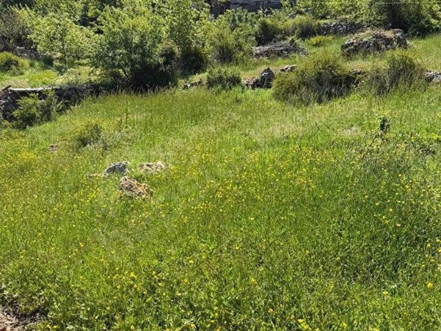 ABANOZ'DA SATILIK 163M2 ARSA