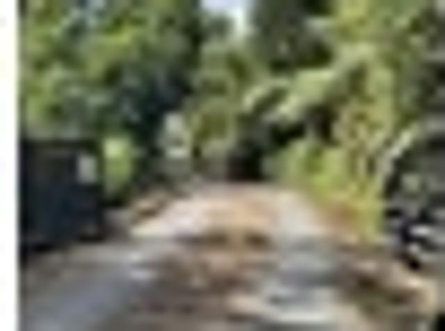 Abbey Caves, 3 bedrooms, $730 pw