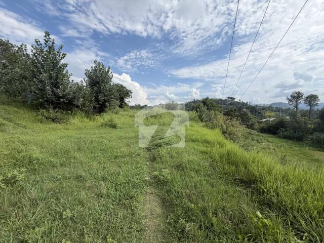 Abbottabad 5 Kanal Land For Sale