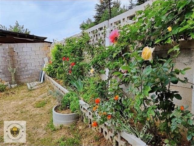 Abdullahpaşa Mah 1+1 282m2 Arsalı Müstakil Satılık Daire