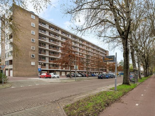 Abeelweg, 156, 3053PD, Rotterdam, Zuid Holland 3053PD