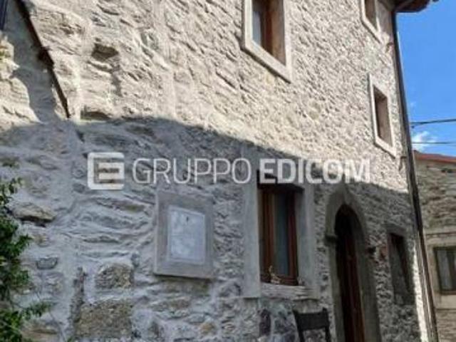 Abitazione di tipo economico in vendita a Vagli Sotto Rif. 3560243