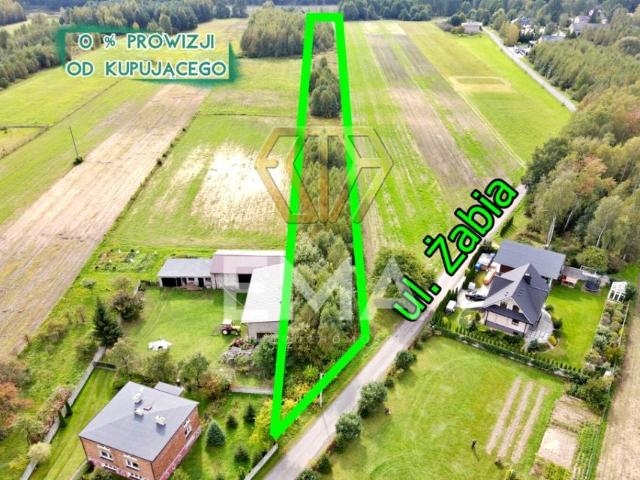 Żabia 6 440 m², Kłobuck