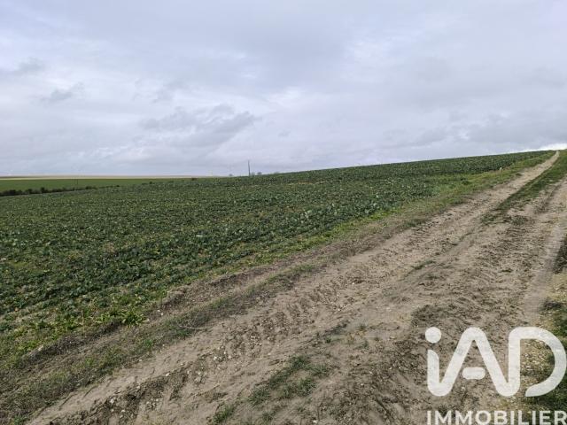 Ablancourt Vente Terrain 51