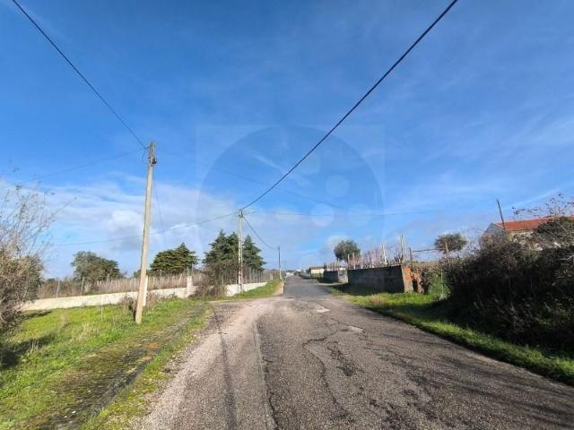 Abrantes Abrantes 98332665
